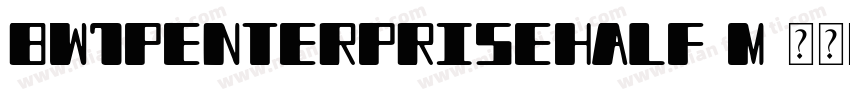 BW7pEnterpriseHalf M字体转换